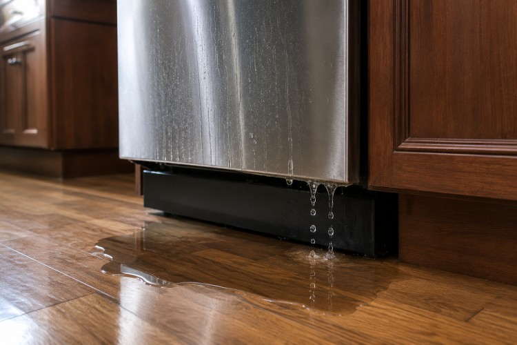 Dishwasher leaking water repair technician in Conyers